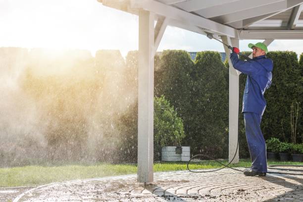 Spring Cleaning in Poplar Grove, IL