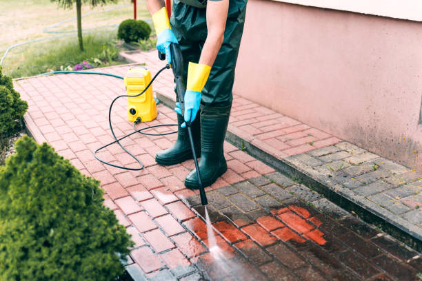Best Pool Deck Cleaning  in Poplar Grove, IL